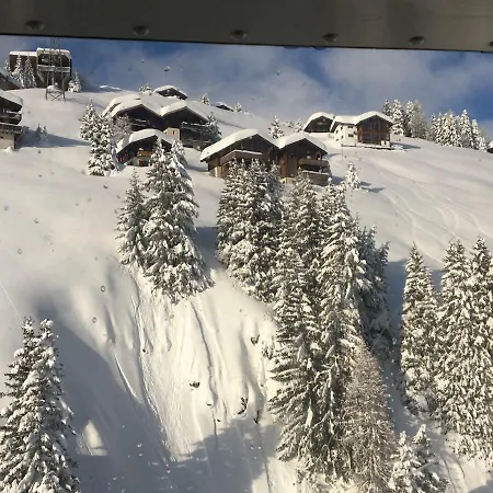 Almenrausch Riederalp